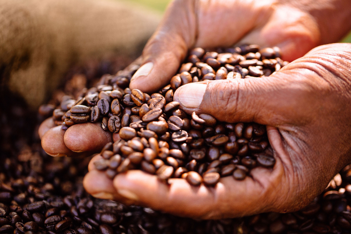 Nachhaltiger und fairer Kaffee