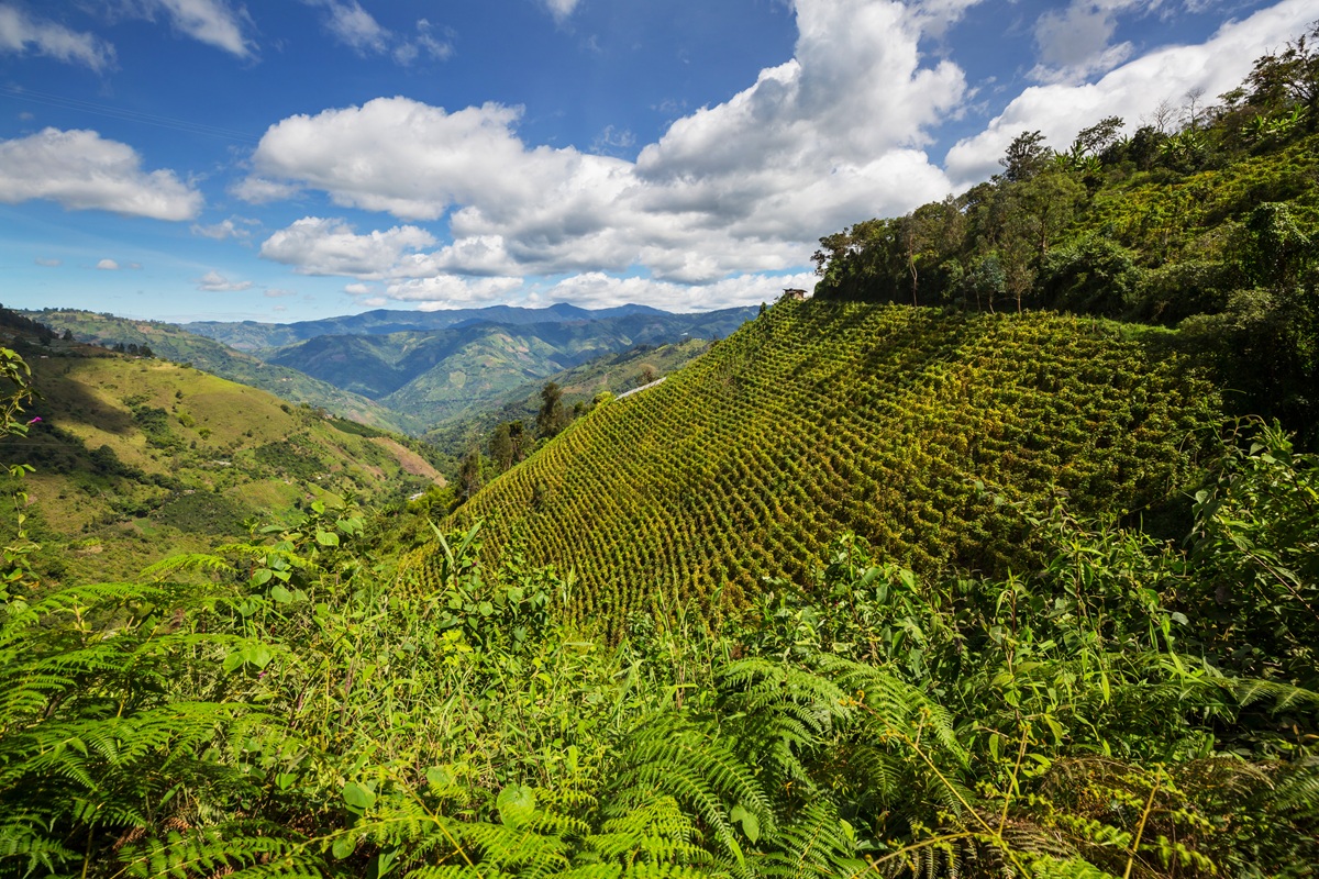 Rural landscapes in Colombia