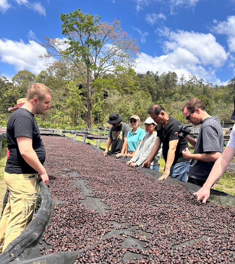 Direkt heisst direkt: Wie eine Reise in die Berge Mittelamerikas zeigt, was „Direktimport“ wirklich bedeutet